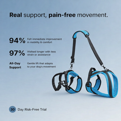 Full Body Mobility Harness