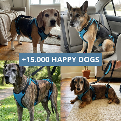 Full Body Mobility Harness